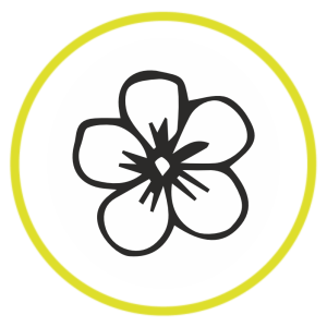 Fête des Mères
